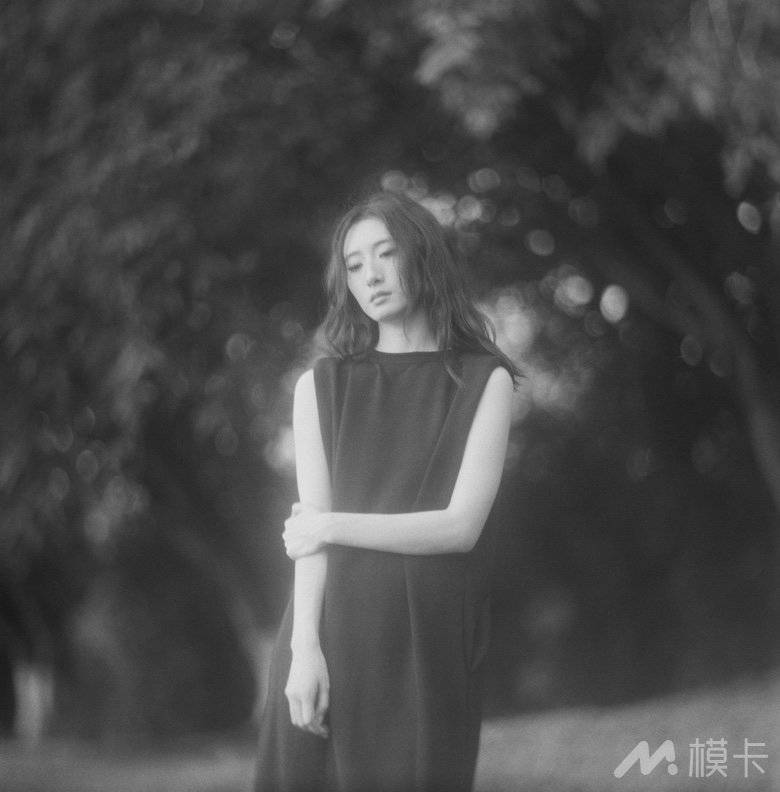 作品图片