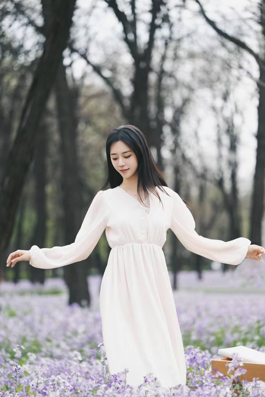 作品图片
