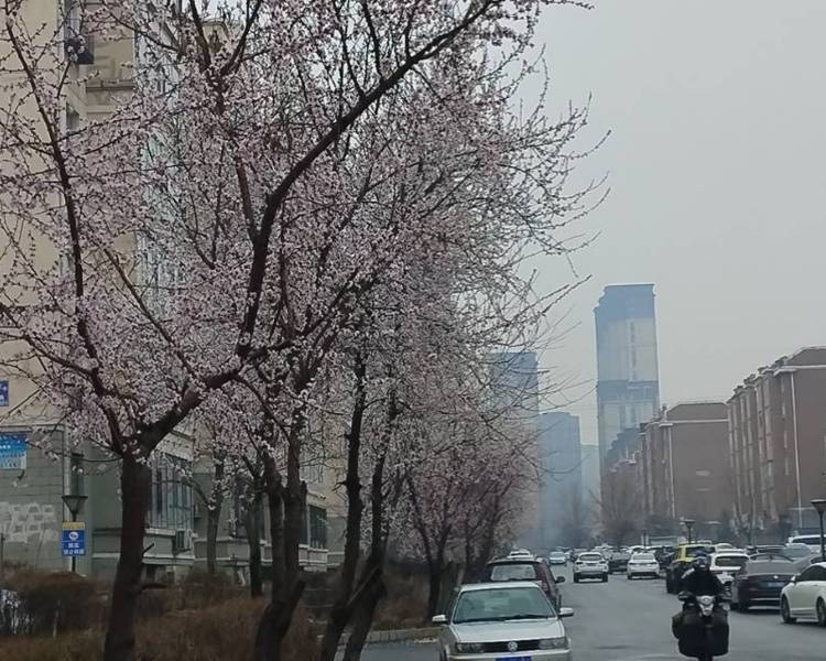 艺人背景图