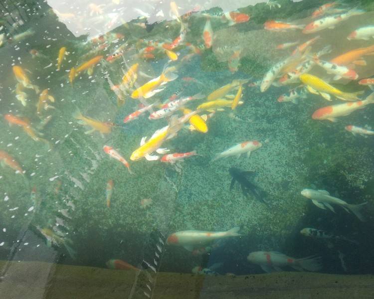 艺人背景图
