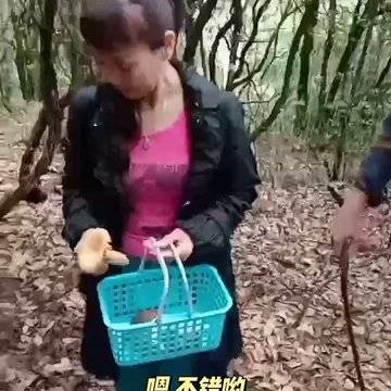 经历图片