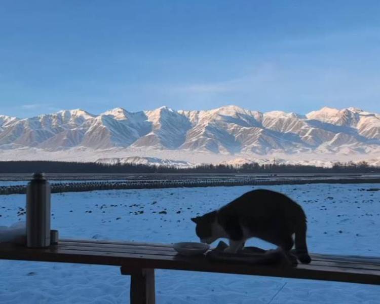 艺人背景图