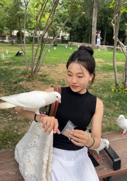 推荐艺人