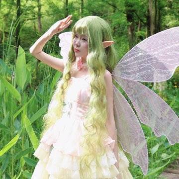 推荐作品