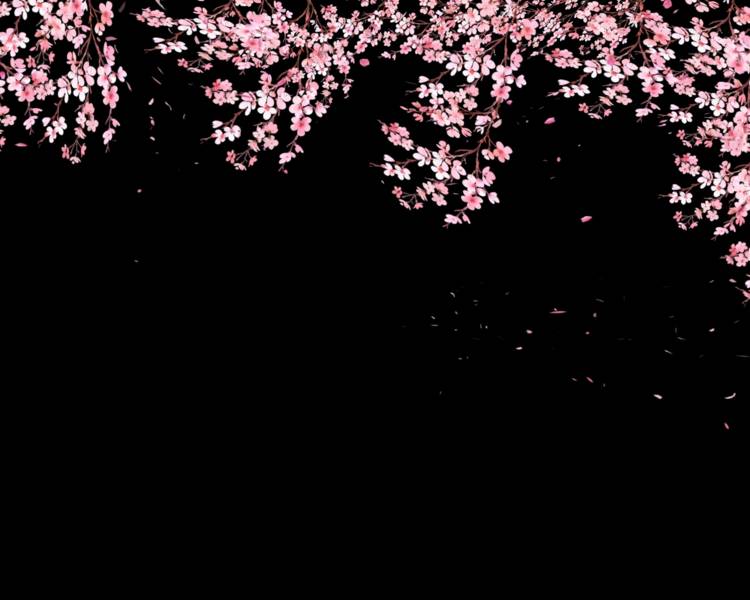 艺人背景图