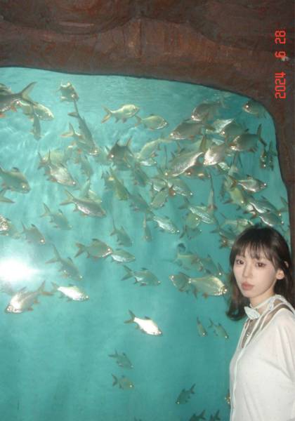形象照片