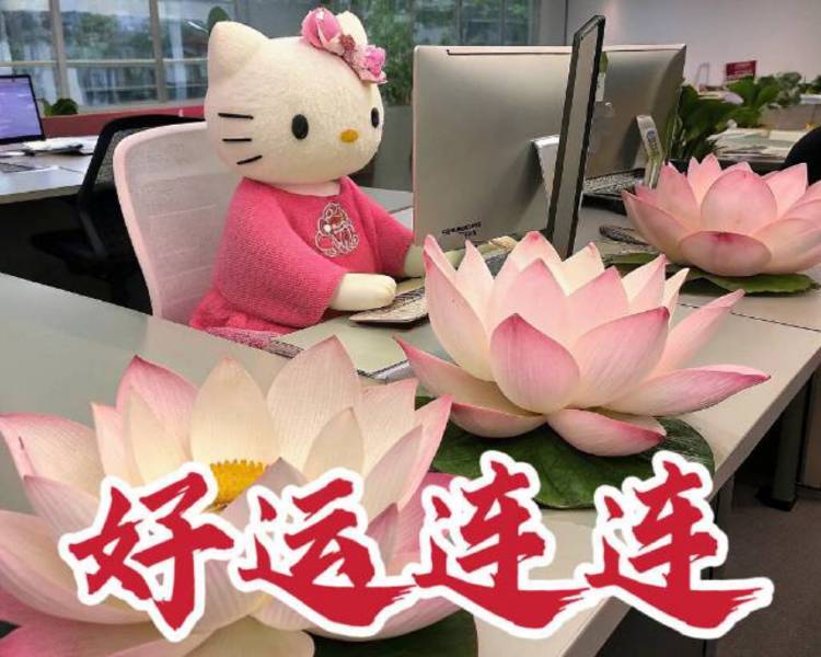 艺人背景图