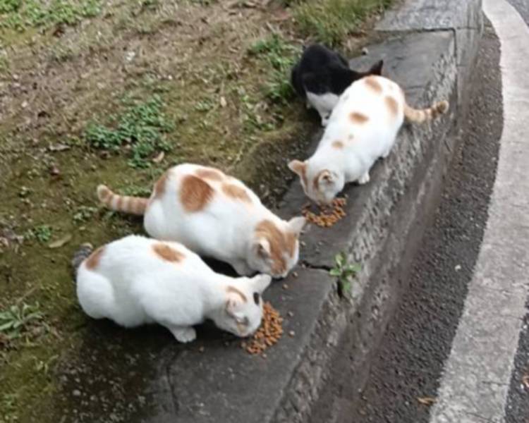 艺人背景图