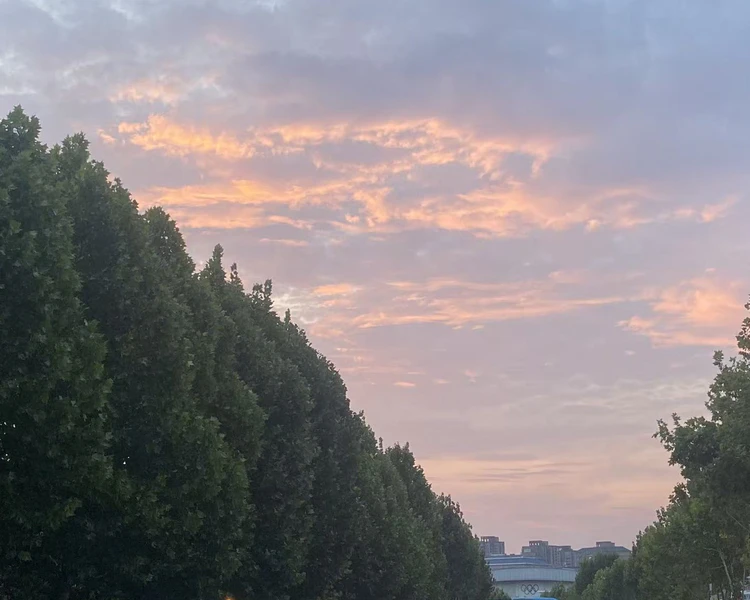 艺人背景图
