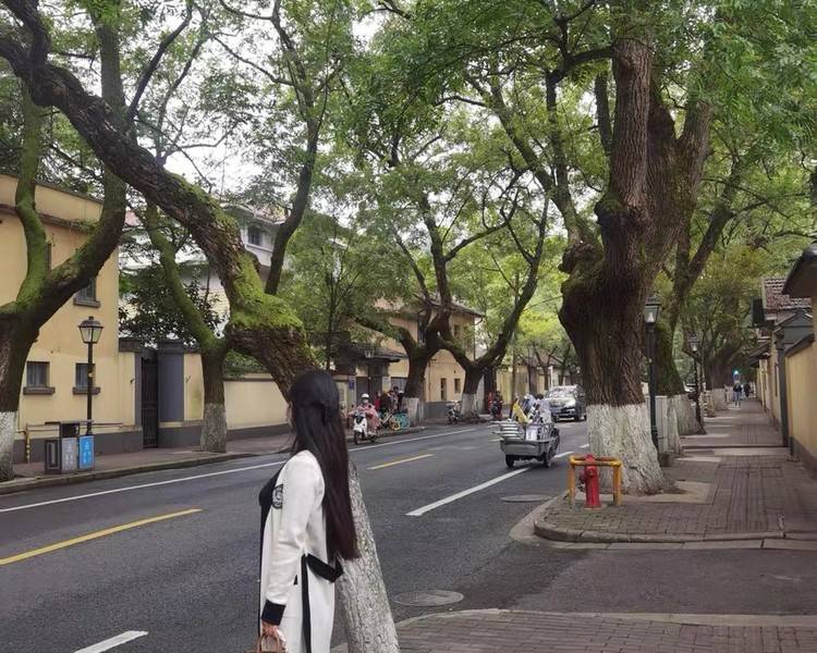 艺人背景图