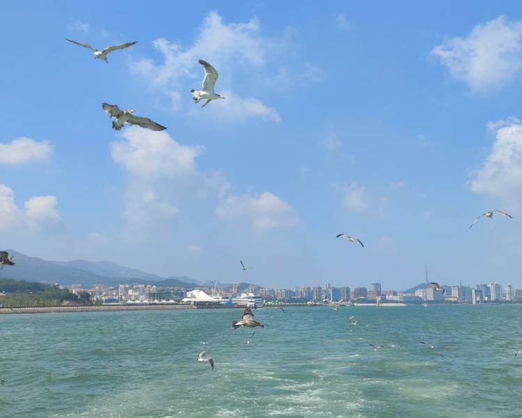 艺人背景图