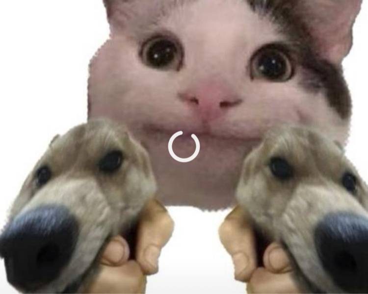 艺人背景图
