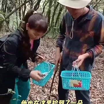 经历图片