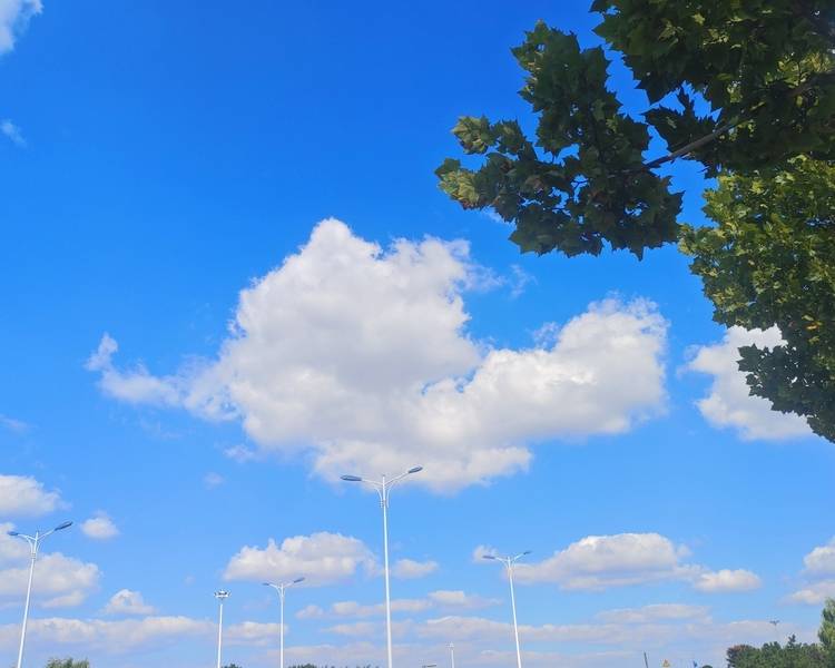 艺人背景图