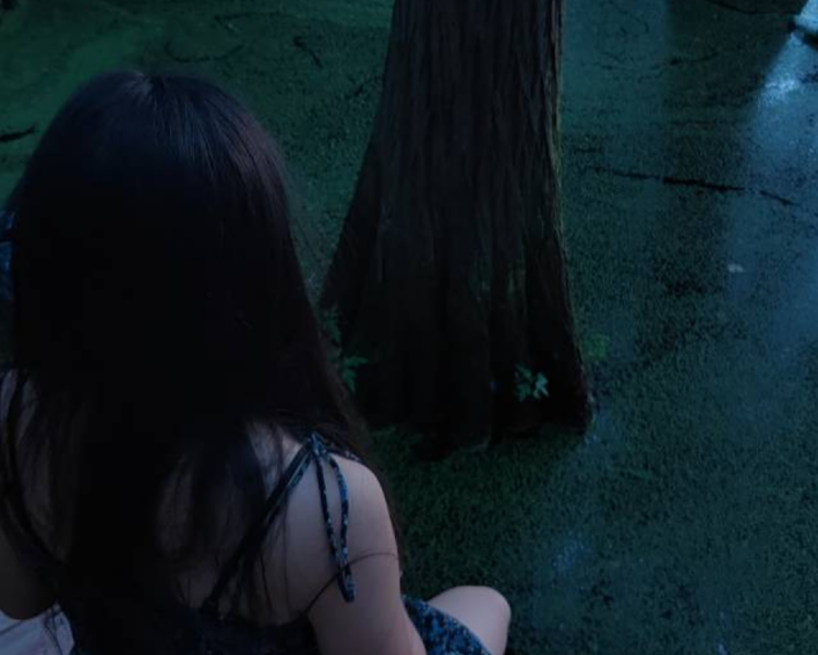 艺人背景图