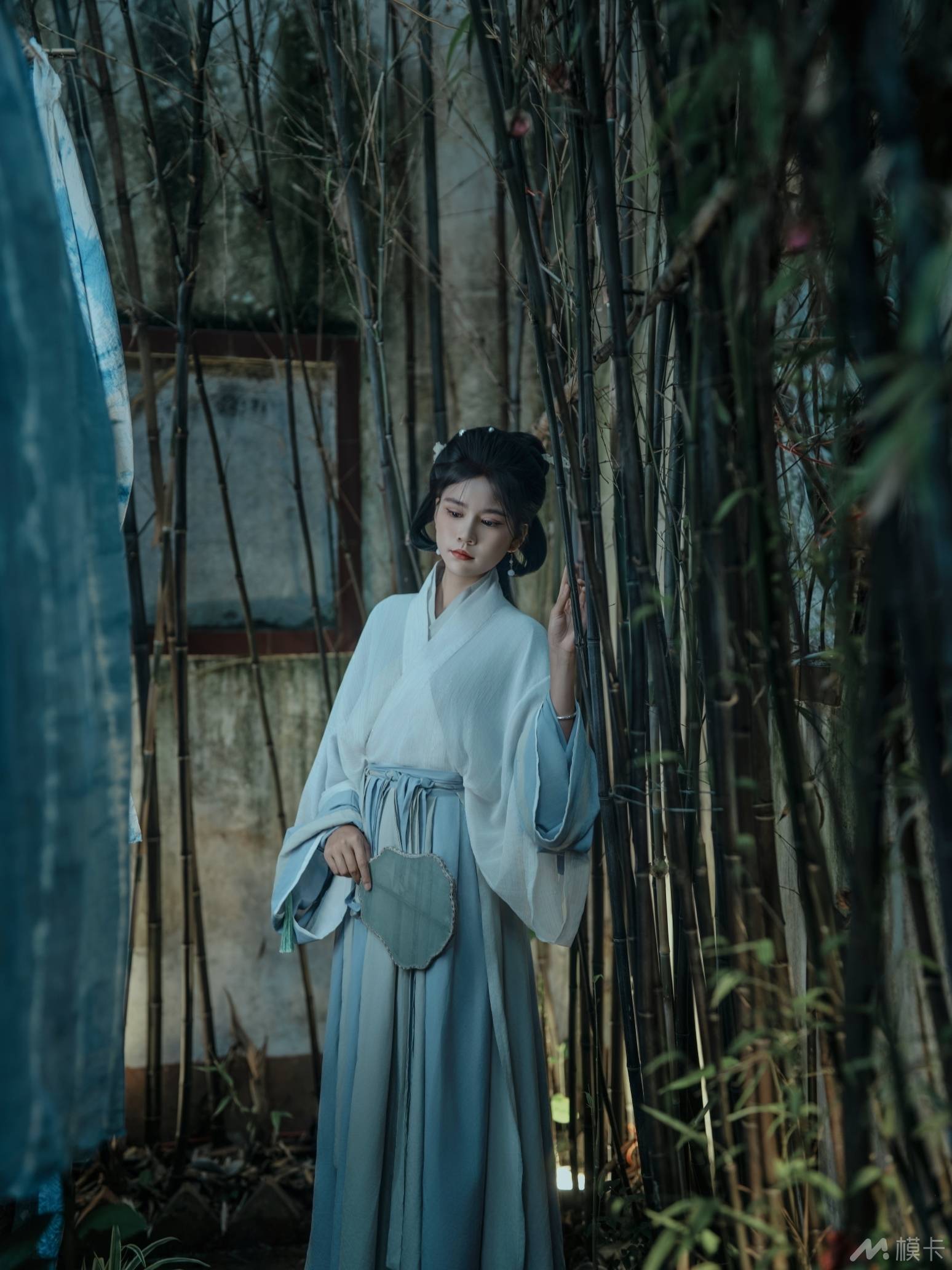 作品图片