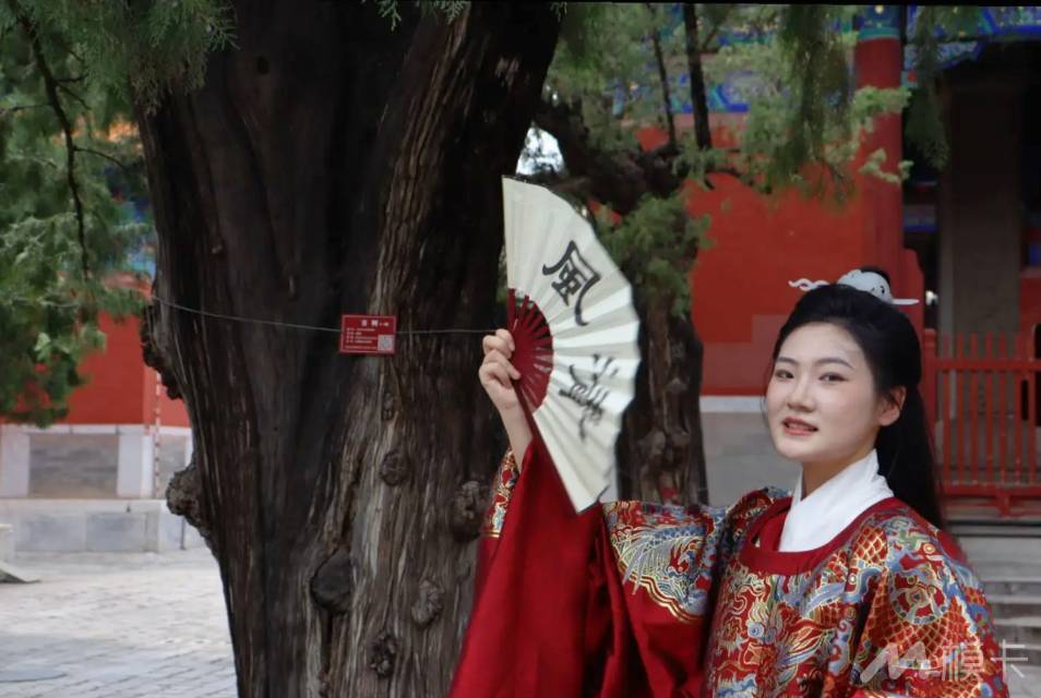 作品图片