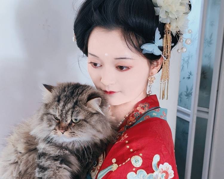 艺人背景图