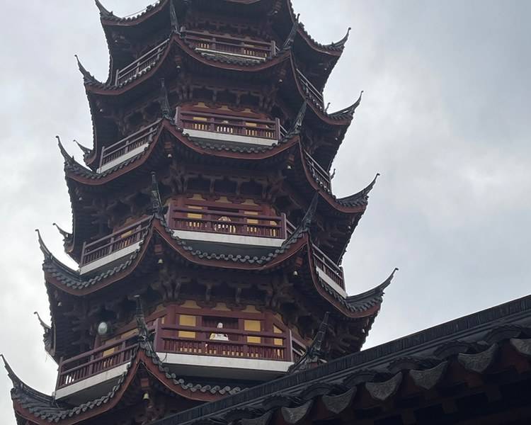 艺人背景图