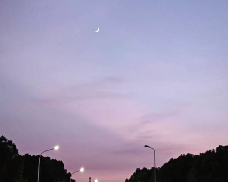 艺人背景图