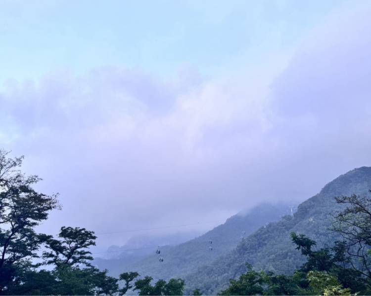 艺人背景图
