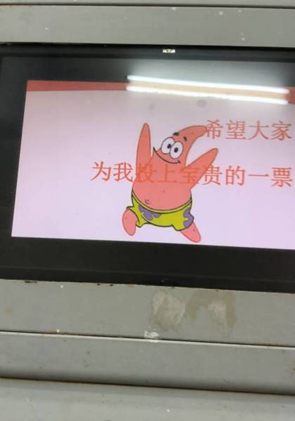 形象照片