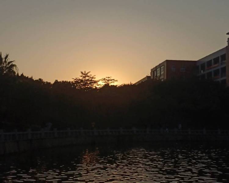 艺人背景图