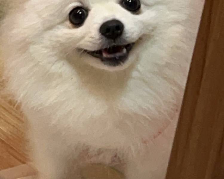 艺人背景图