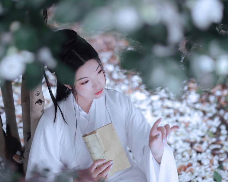 艺人背景图