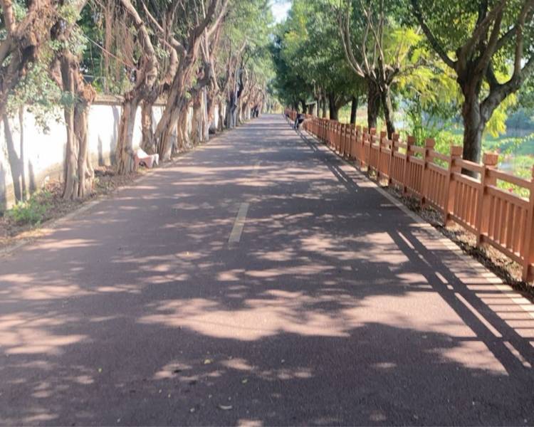 艺人背景图