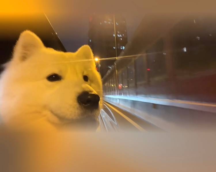 艺人背景图