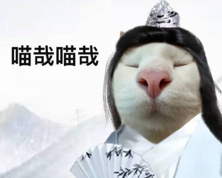 艺人背景图
