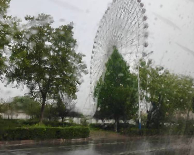 艺人背景图