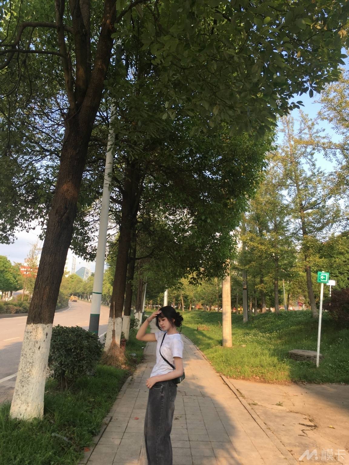 作品图片