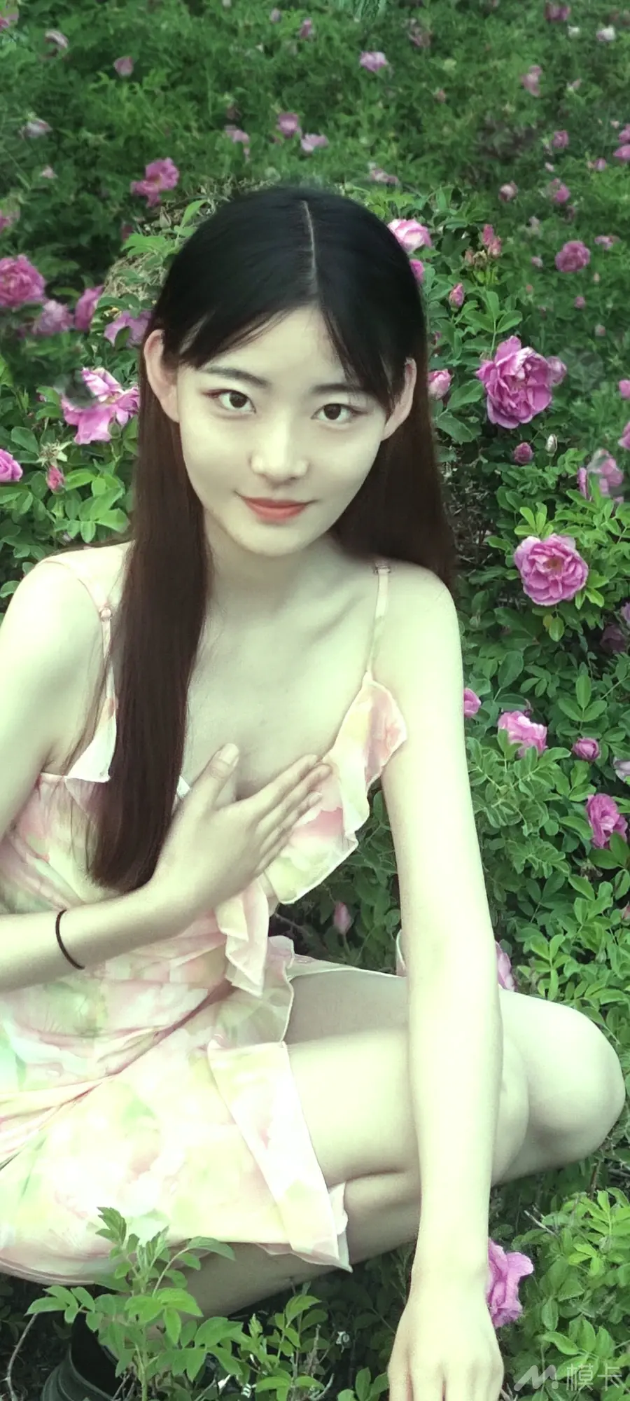 作品图片