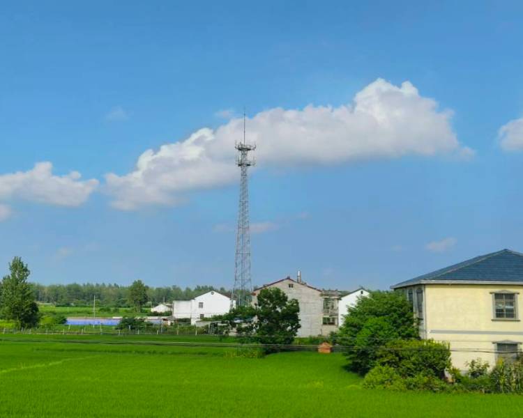 艺人背景图