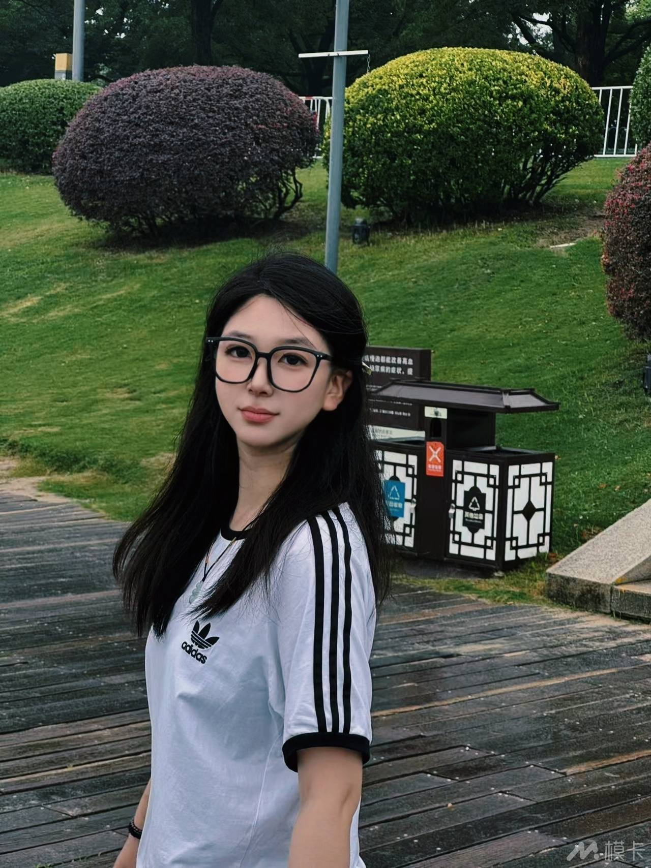 作品图片