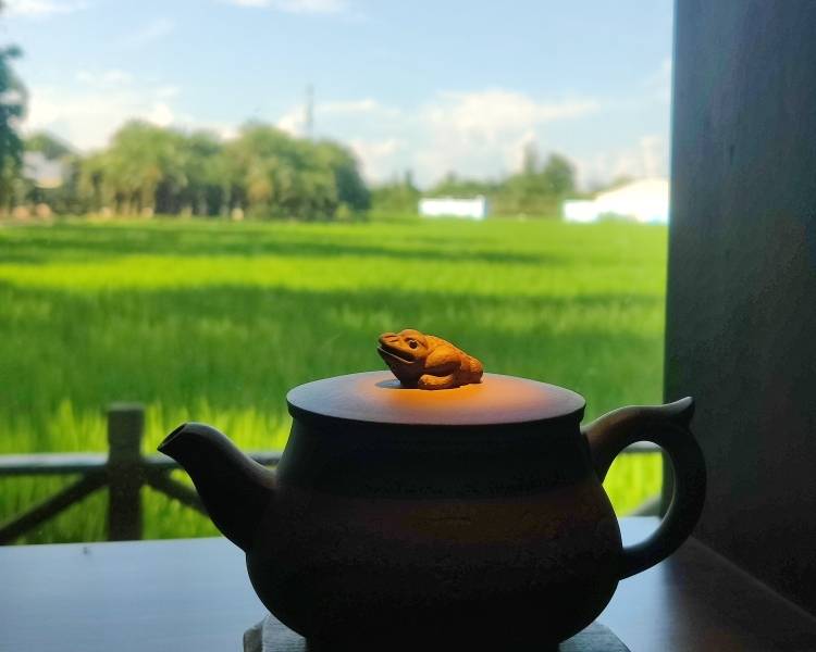 艺人背景图