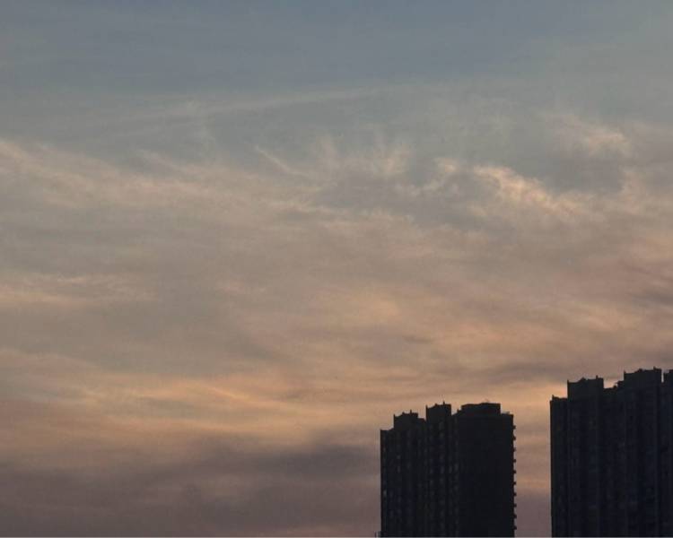 艺人背景图