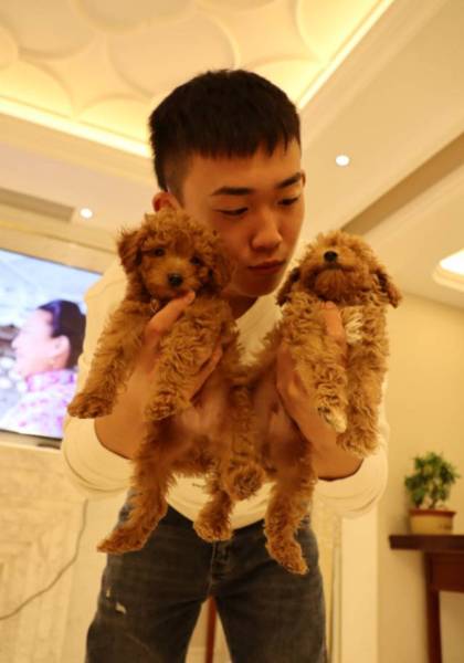形象照片