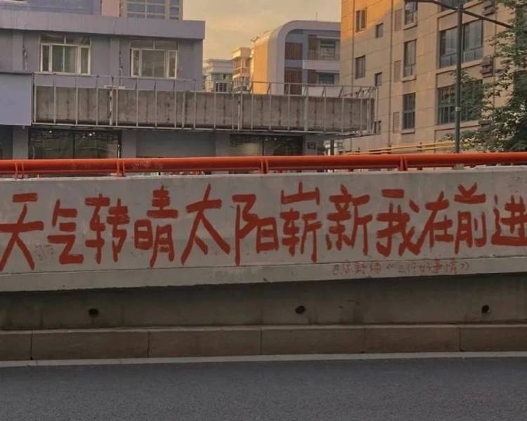 艺人背景图