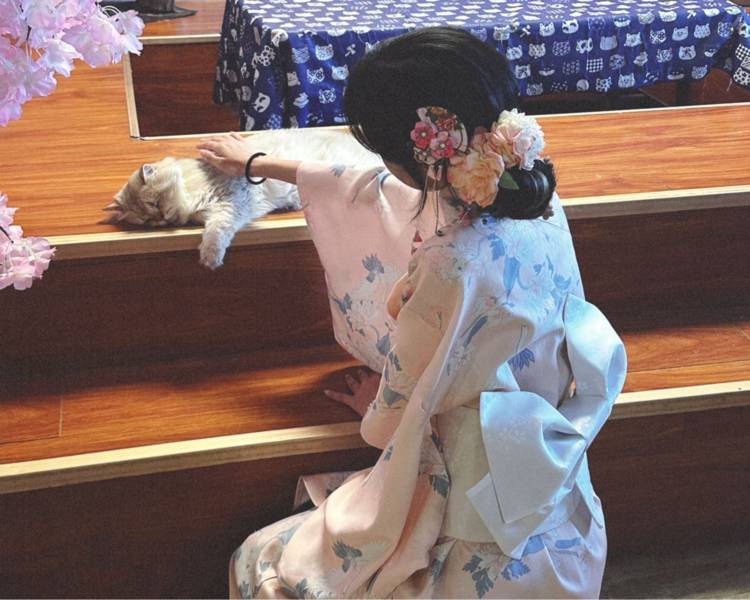 艺人背景图