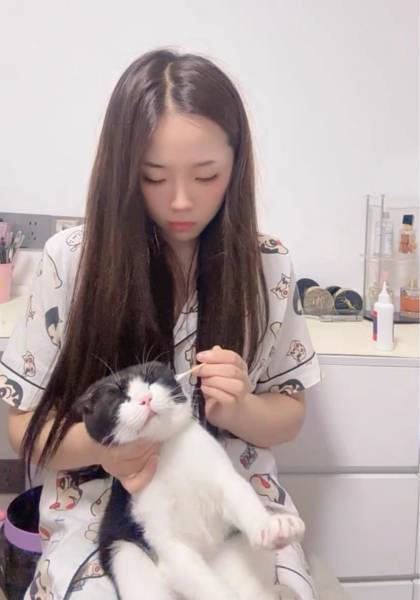 推荐艺人