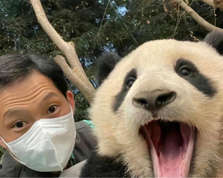 艺人背景图