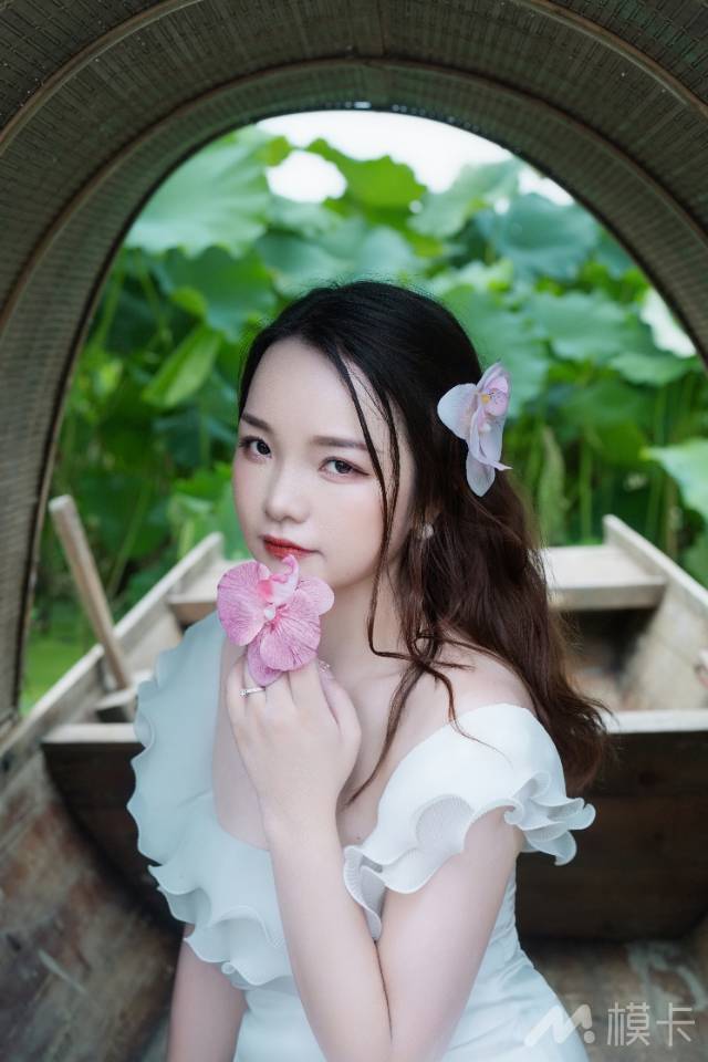 作品图片