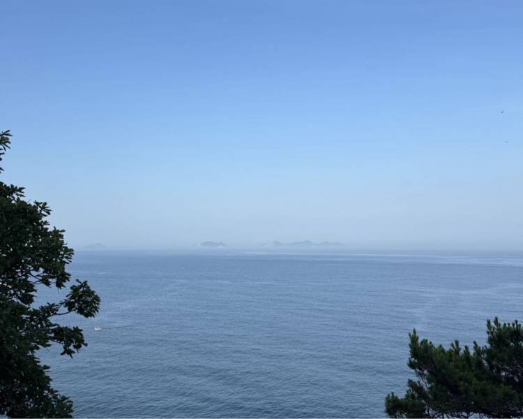 艺人背景图