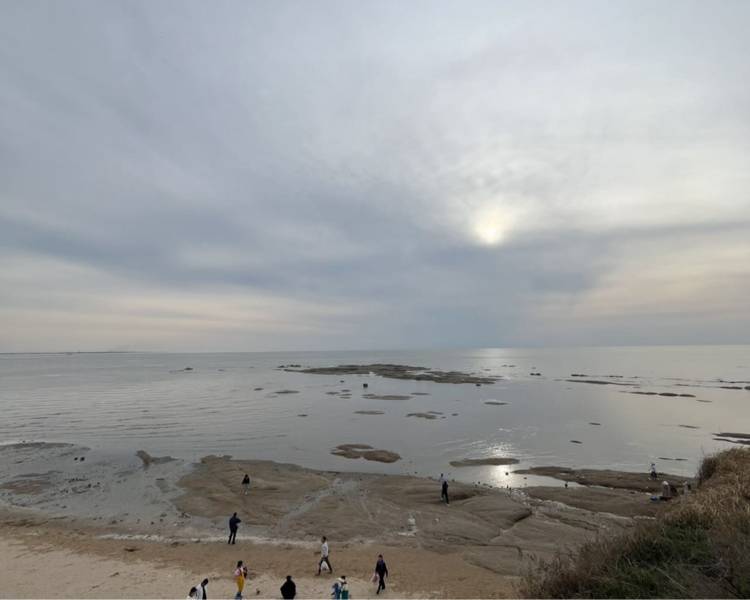 艺人背景图