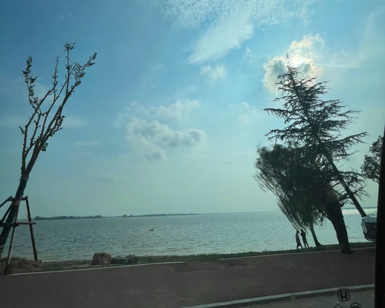 艺人背景图