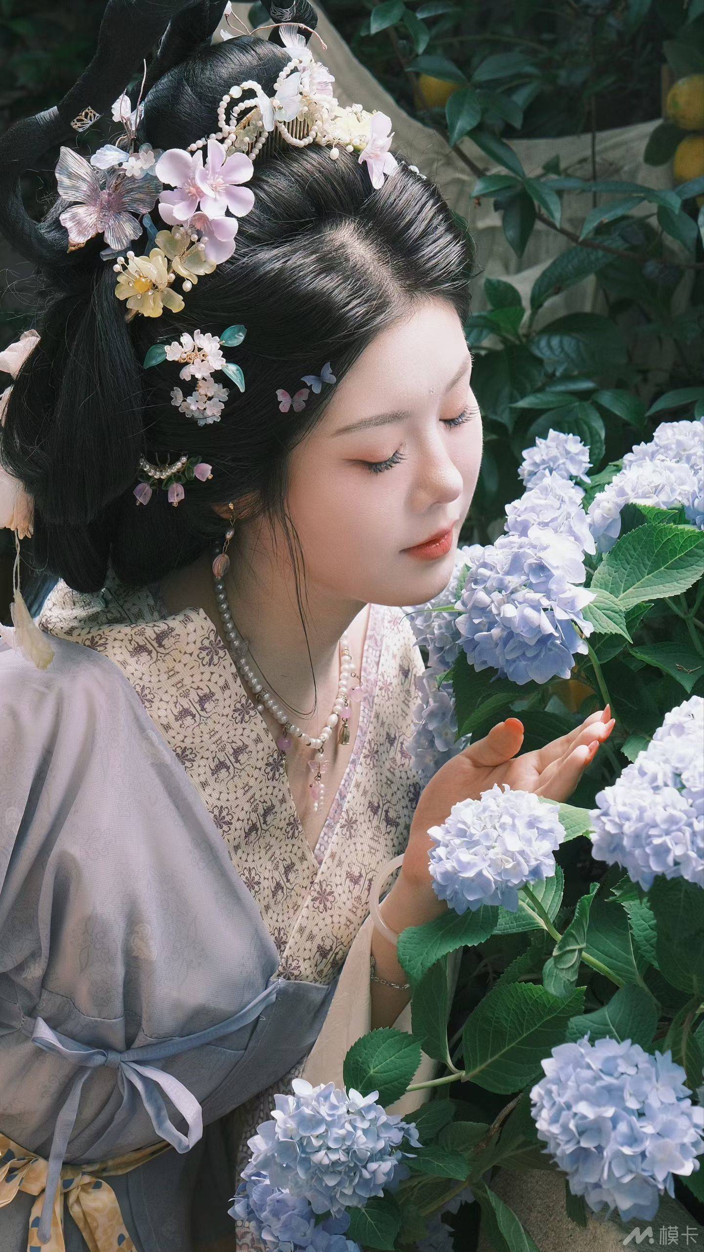作品图片