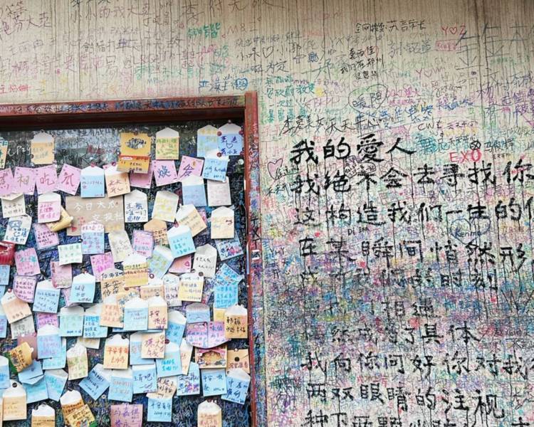 艺人背景图